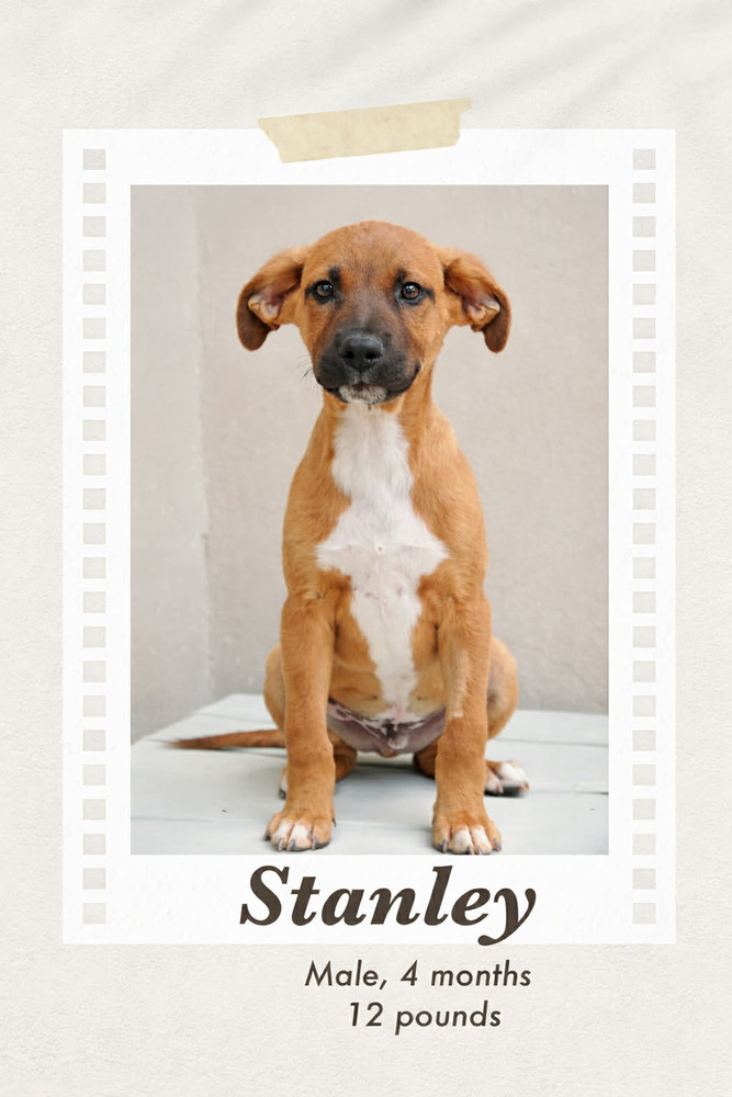 Photo of Stanely