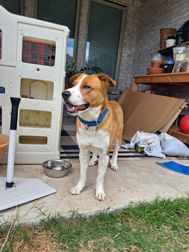 Rusty photo 2