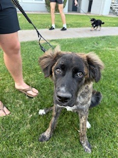 Photo of Calvin
