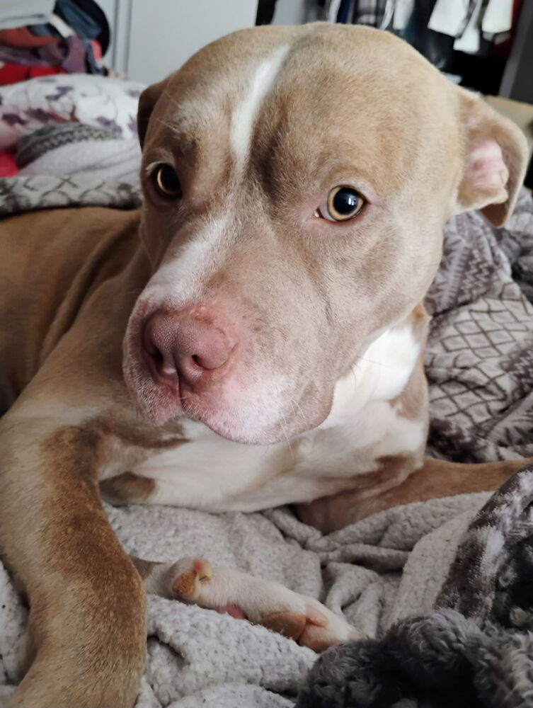 Kash