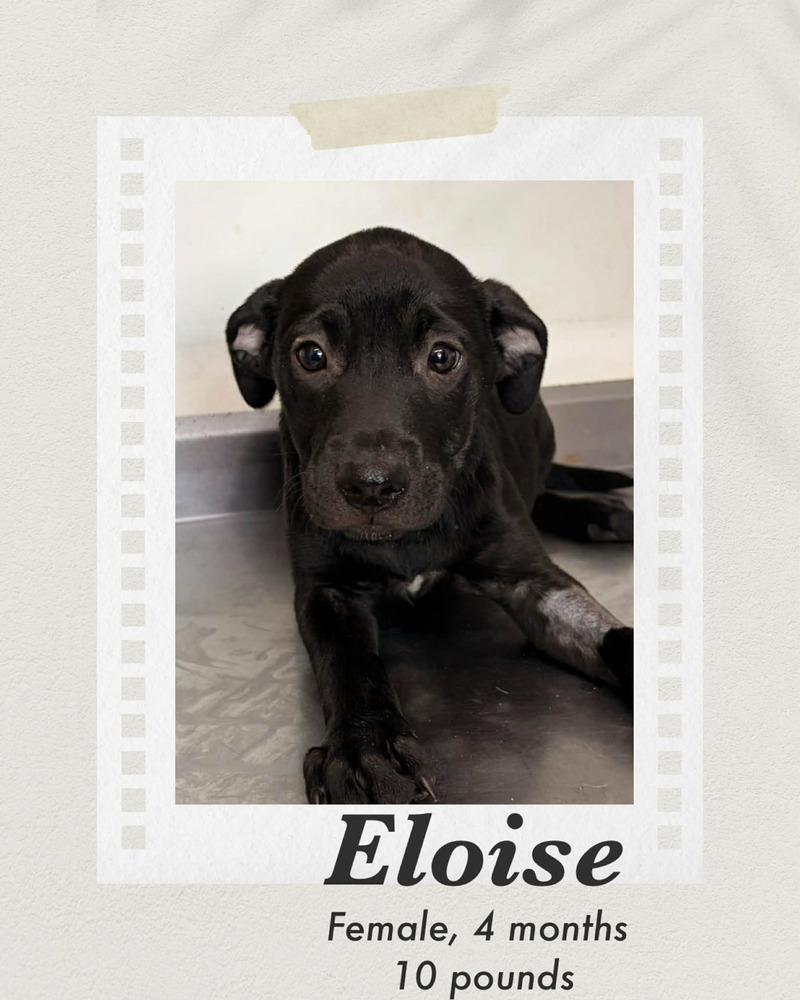 Photo of Eloise
