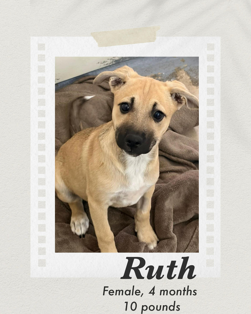 Photo of Ruth
