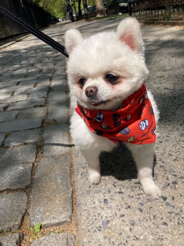 Rudy