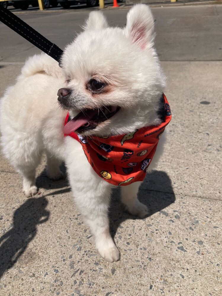 Rudy