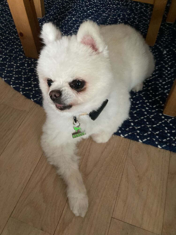 Rudy