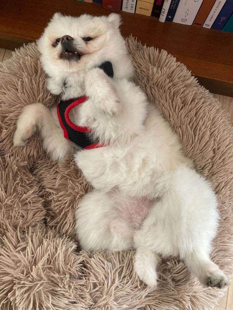 Rudy
