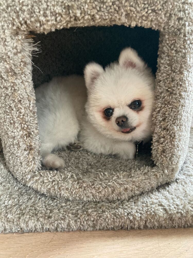Rudy
