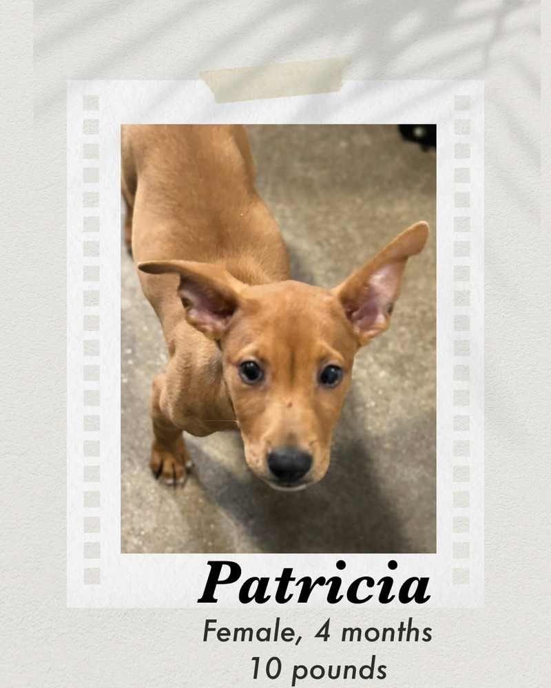 Photo of Patricia