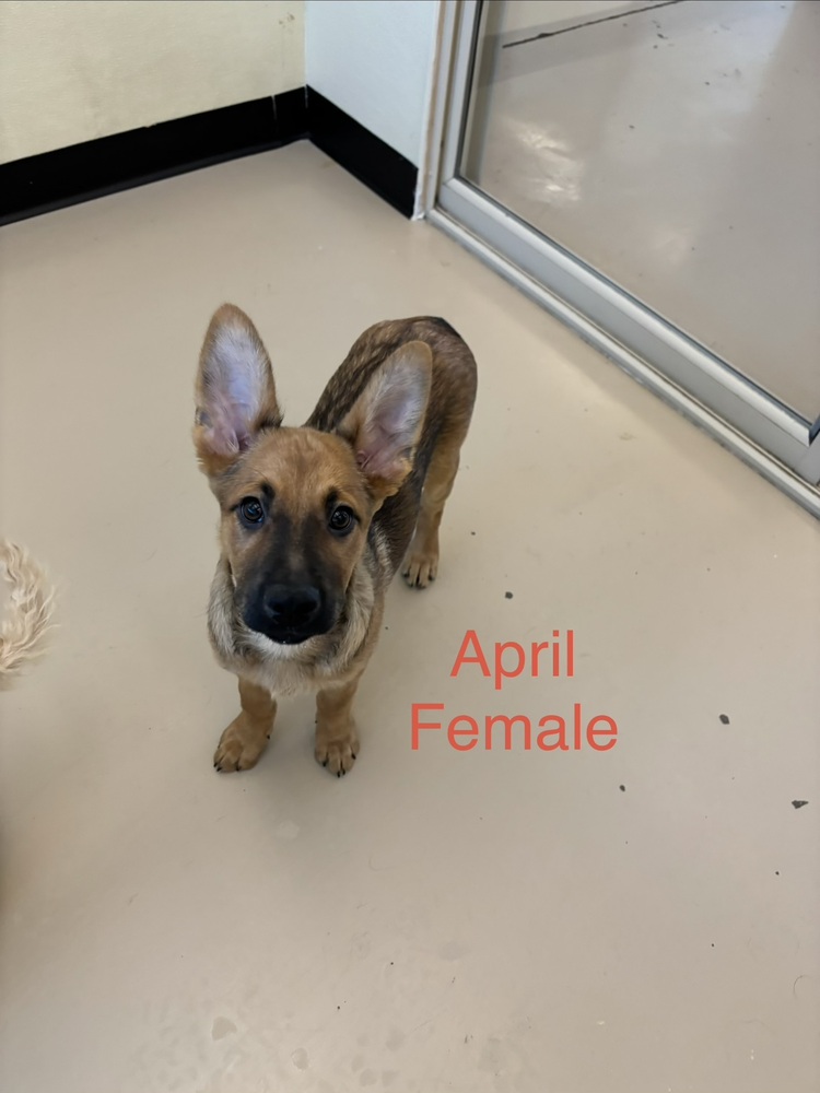 Photo of April