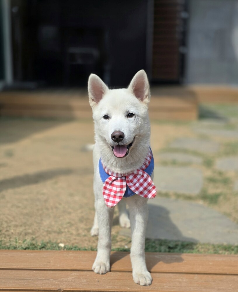 Aengdoo