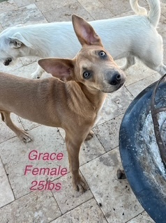 Grace