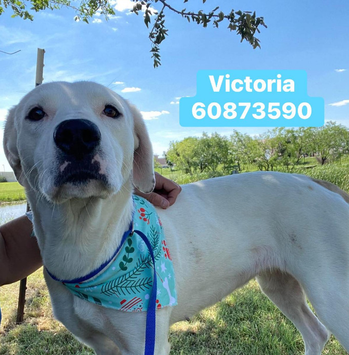 Victoria