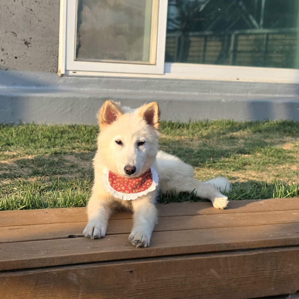 Margarita