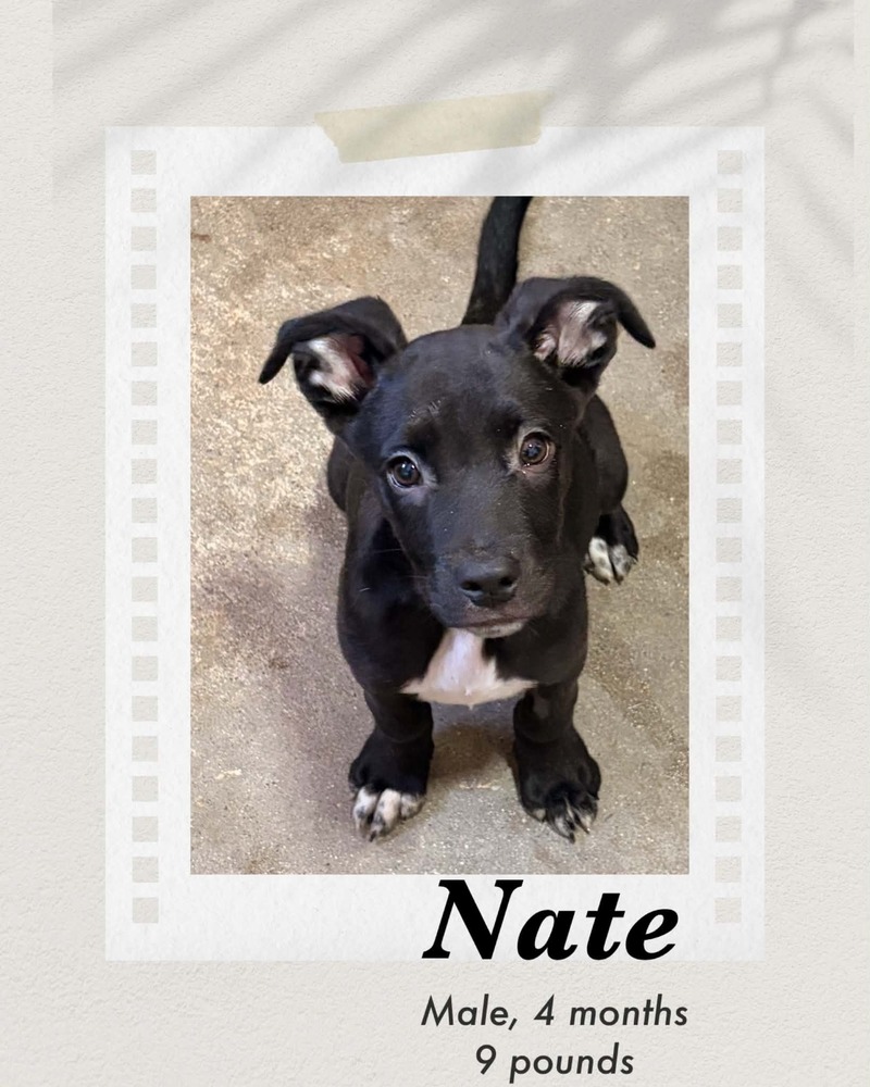 Photo of Nate
