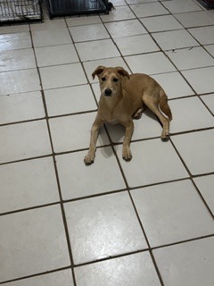 Photo of Polly