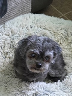 Photo of Sandy