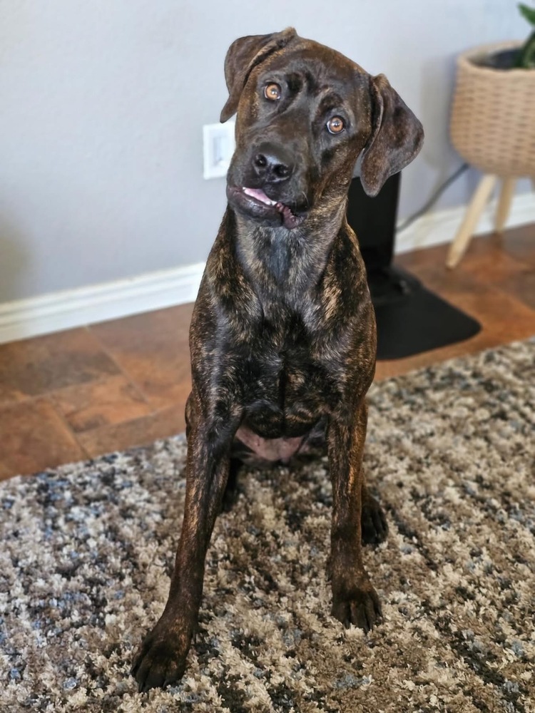 Photo of Sophie