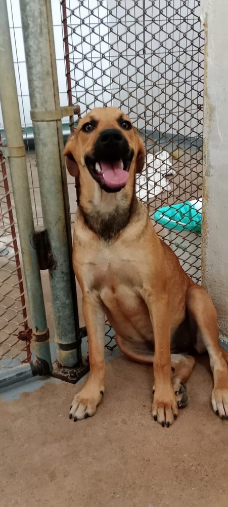 Photo of Athena