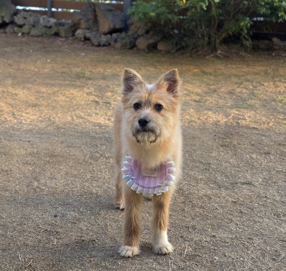 Betty