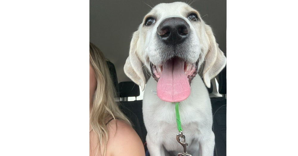 Three Amigos: Grady