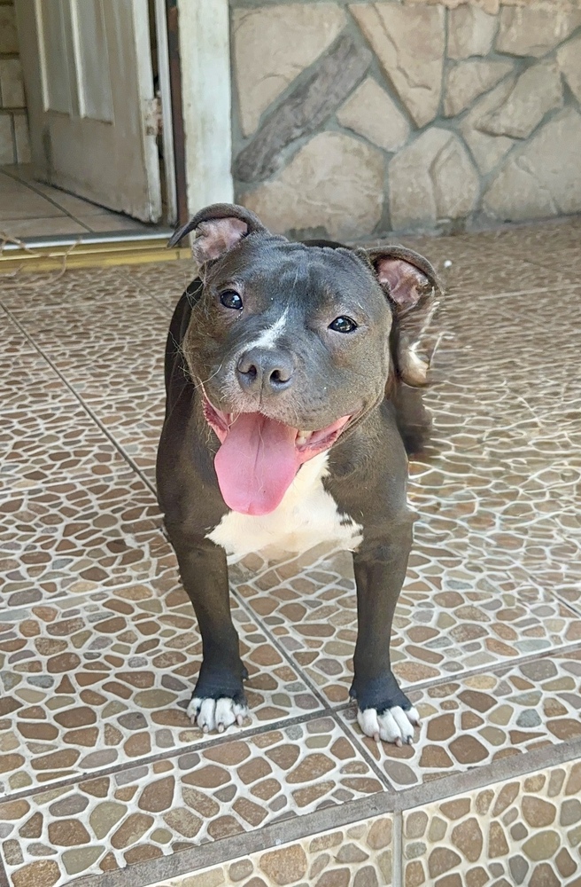 Athena