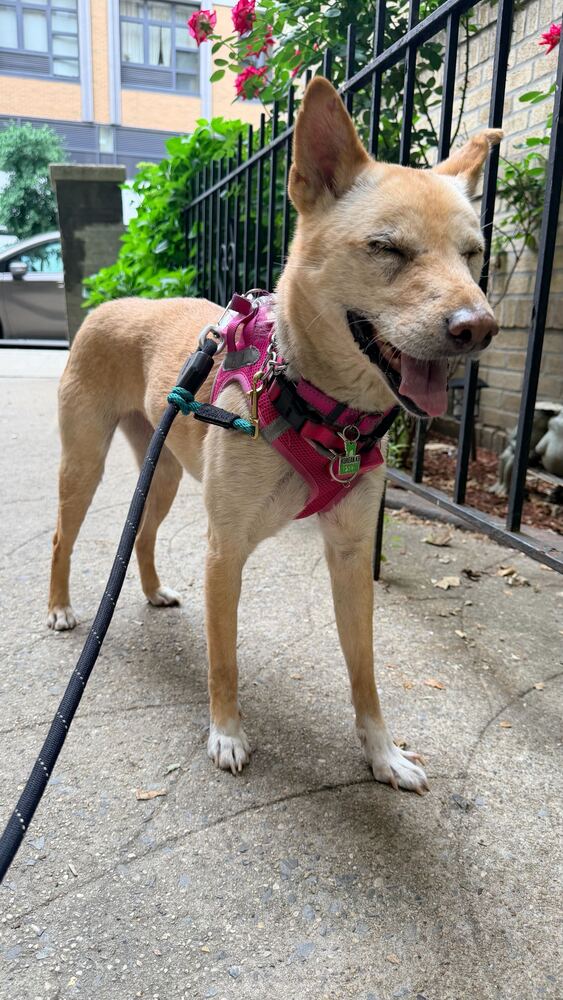 Fiona