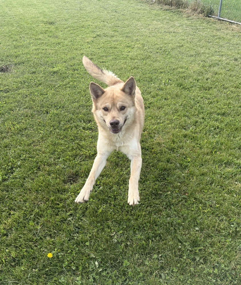 Shiloh