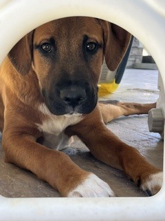 Photo of Stanley