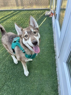 Photo of Maya