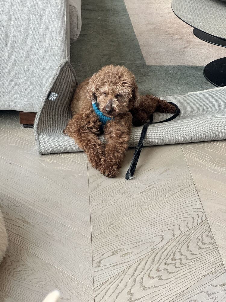Atom