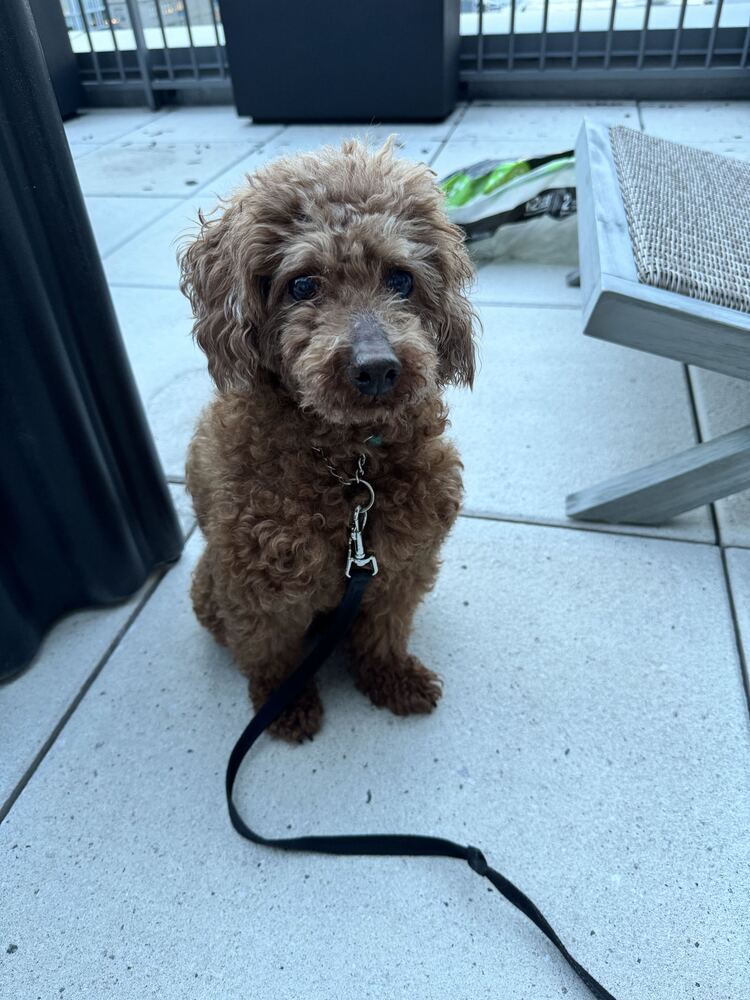 Atom