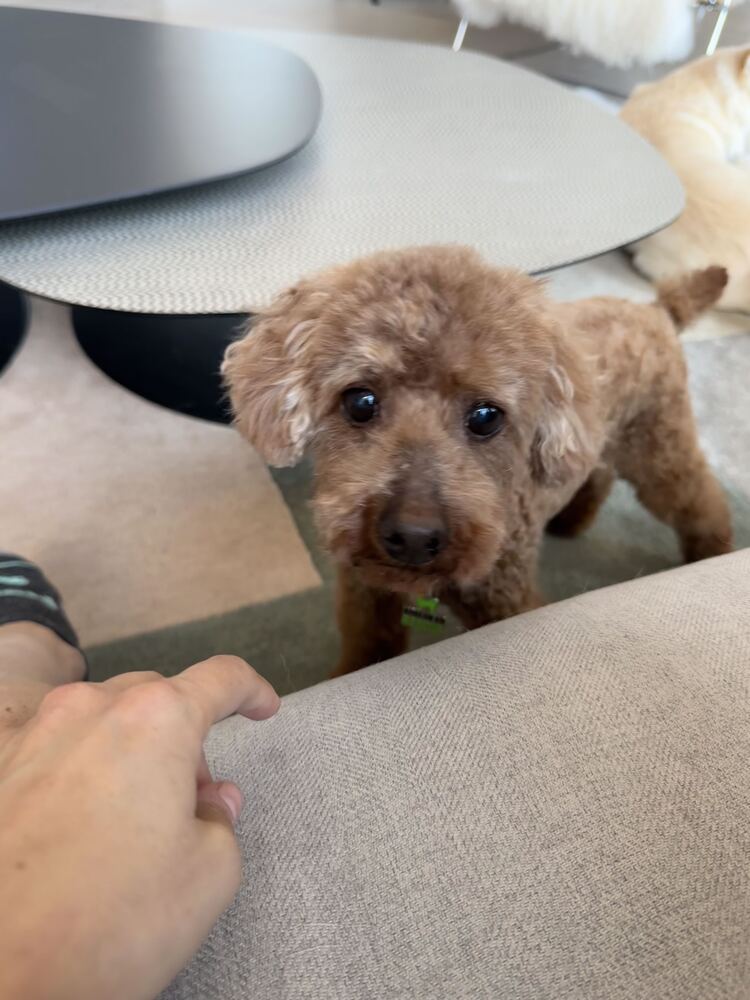 Atom