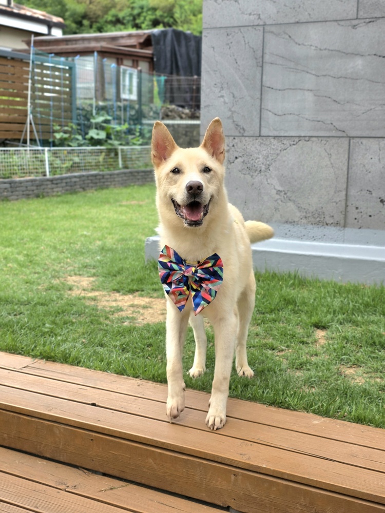 Gentleman