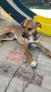 Photo of Rena