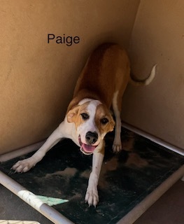 Photo of Paige