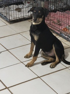 Photo of Matias