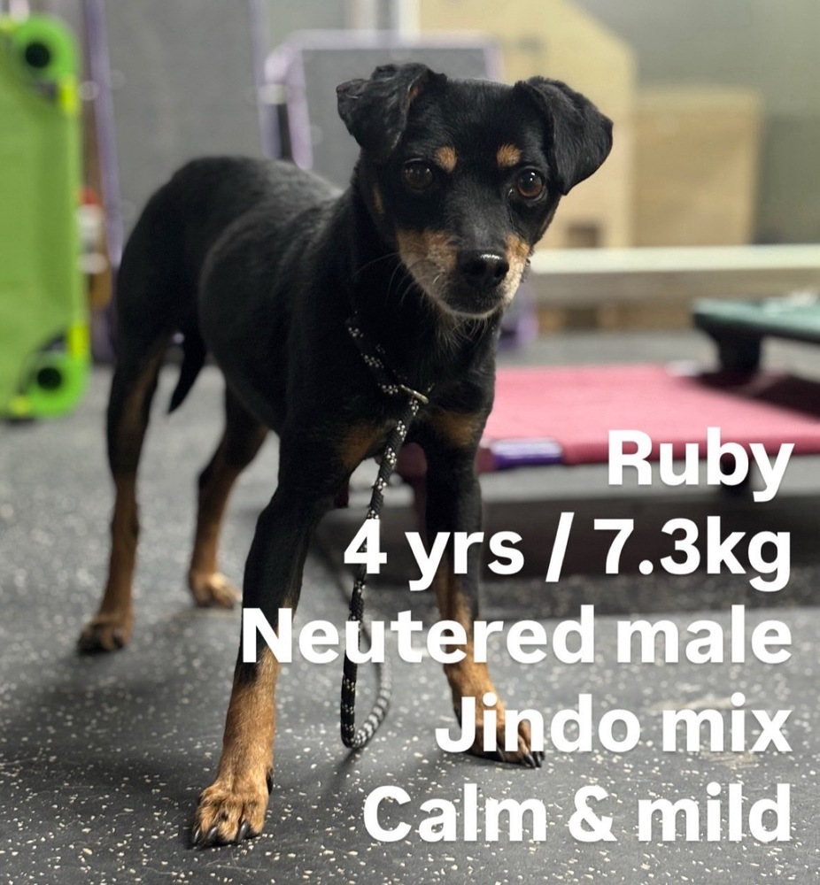 Ruby