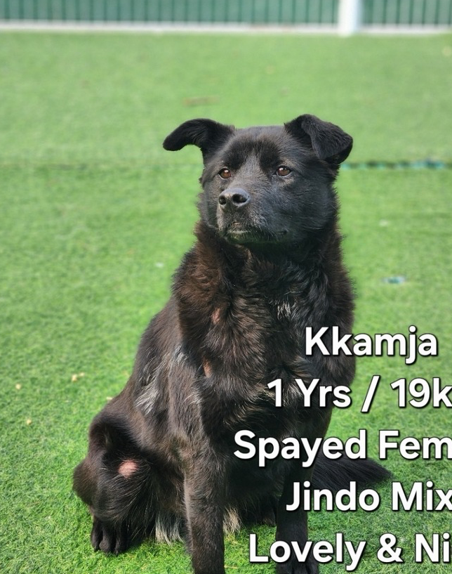 KKAMJA