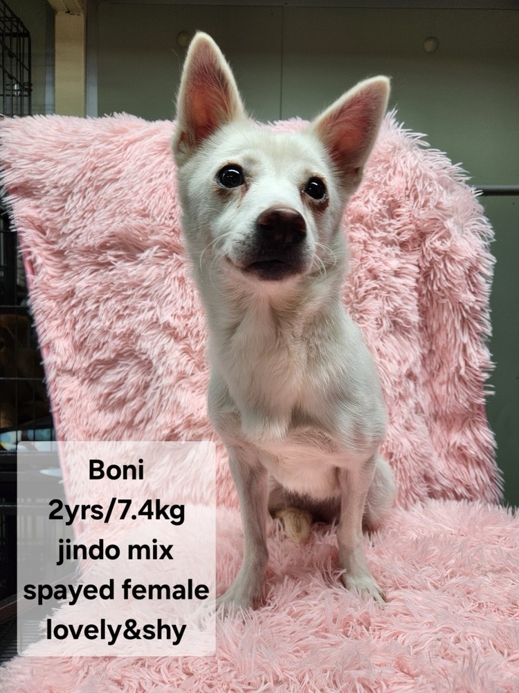Boni