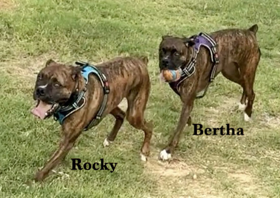 Rocky XIV, photo 3