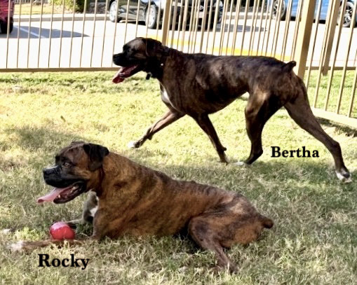 Rocky XIV, photo 2