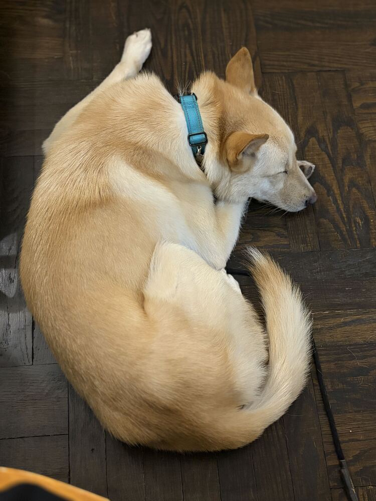 Byeol Yang