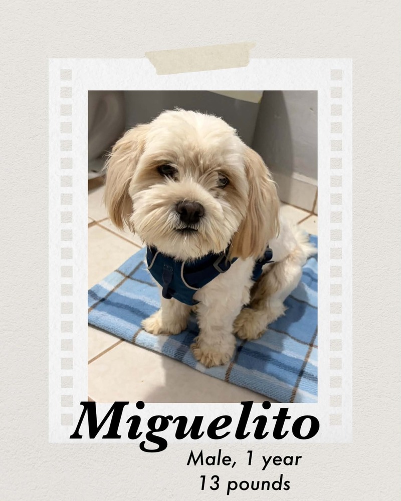 Photo of Miguelito
