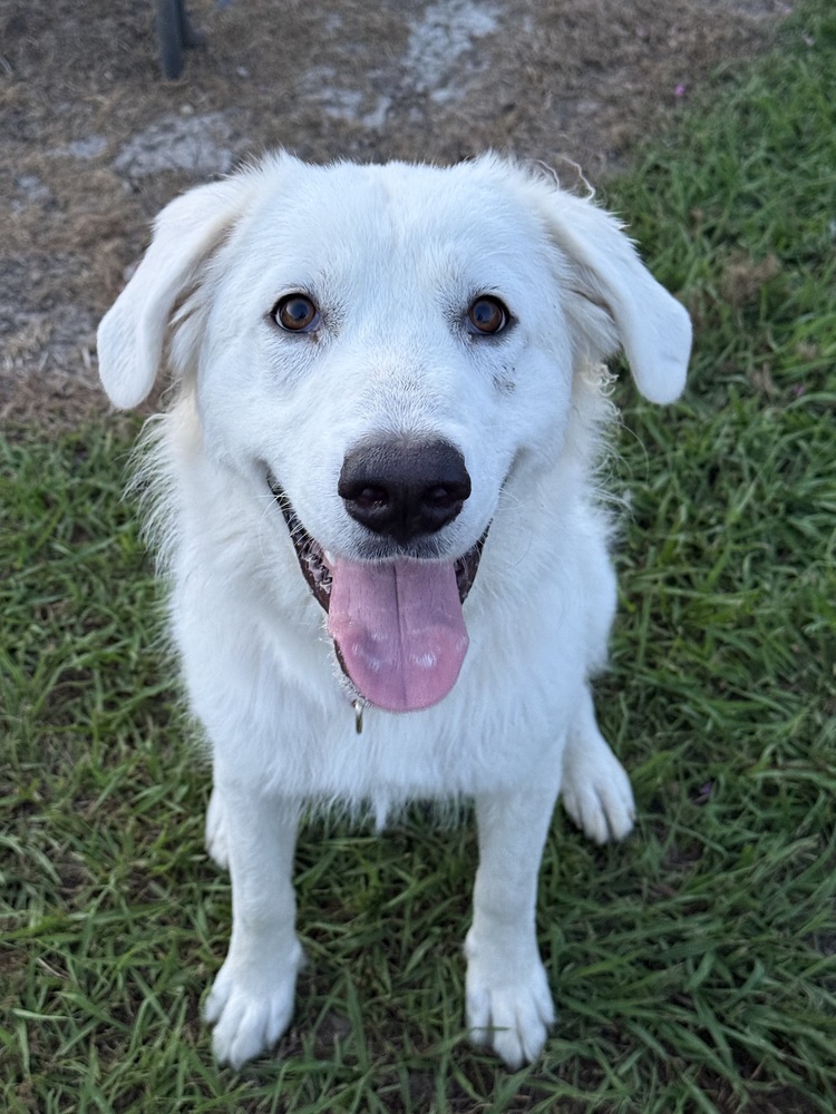 Ellie