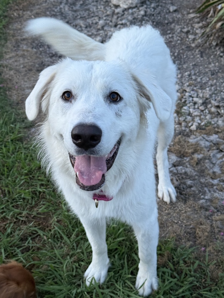 Ellie photo 2
