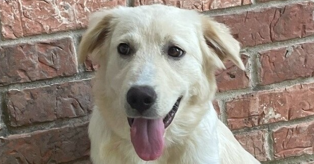 Bonnie Lab