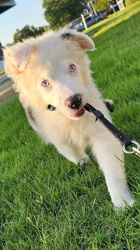 Luna photo 3