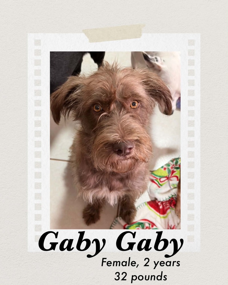 Photo of Gaby Gaby