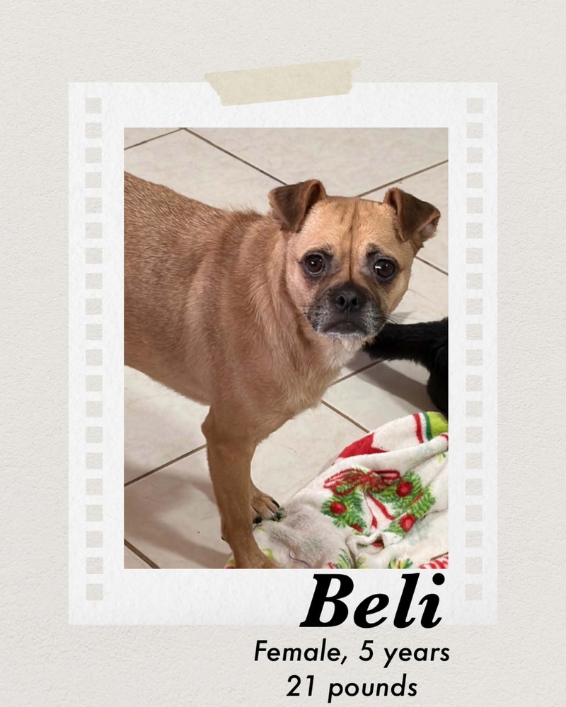 Photo of Beli