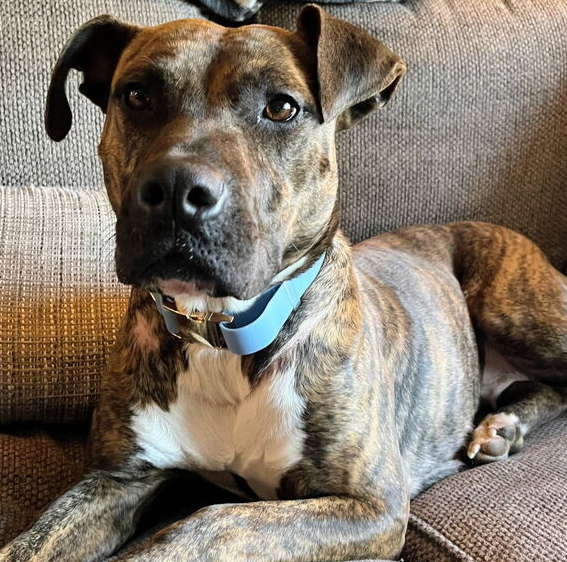 Zoe